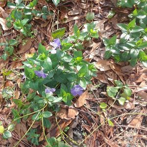 Meet your Posher, Angela renea